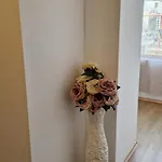 Апартаменты студио тони 1 *